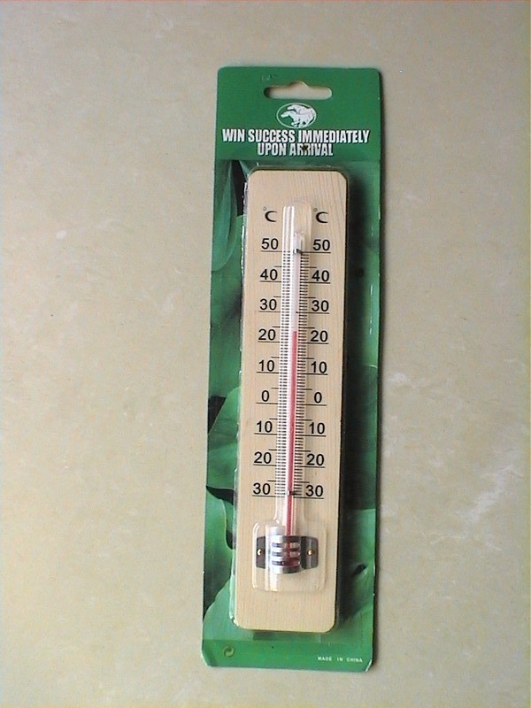 供应:室内温度计,室外温度计,壁挂式温度计,塑料温度计,木头温度计,木制温度计,桦木温度计最新图片